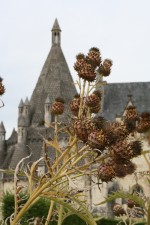 fontevraud_046.jpg